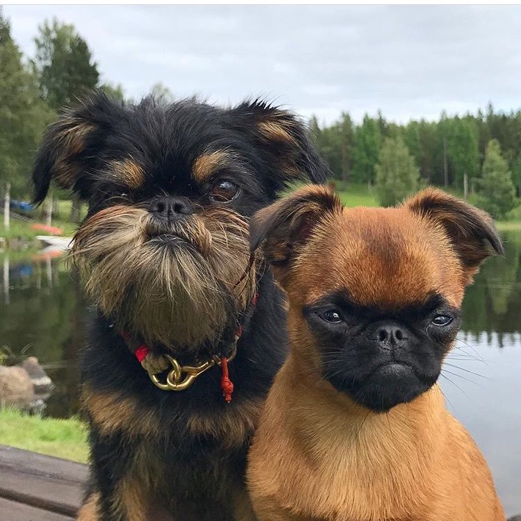 ilya_man1 (61199.lens) Lens social identity (.lens handle) PFP