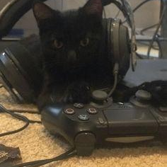 Frost Edge (frostedge.lens) Lens social identity (.lens handle) PFP