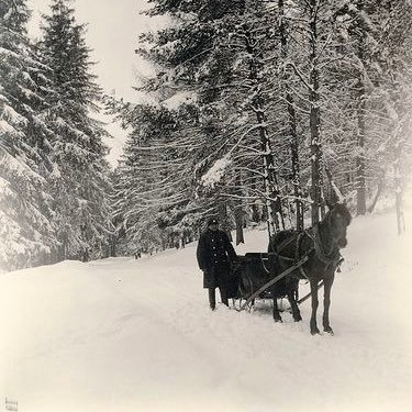 Freda (frenaa.lens) Lens social identity (.lens handle) PFP