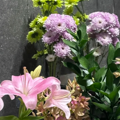 Quentin (usnjs9.lens) Lens social identity (.lens handle) PFP