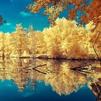 lamnonne (lamonne.lens) Lens social identity (.lens handle) PFP