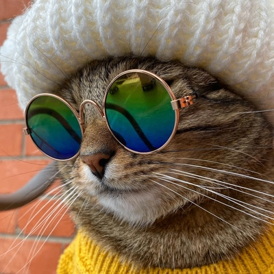 Michael (kotofei.lens) Lens social identity (.lens handle) PFP