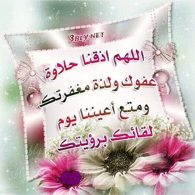 sn23234 (25361.lens) Lens social identity (.lens handle) PFP