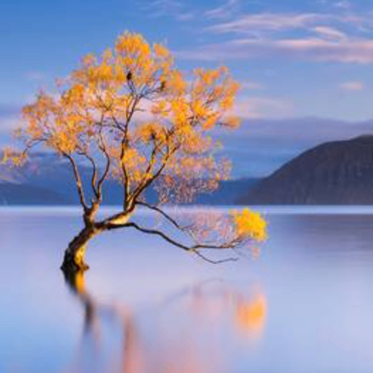 fnvjdknlks (pcccc.lens) Lens social identity (.lens handle) PFP