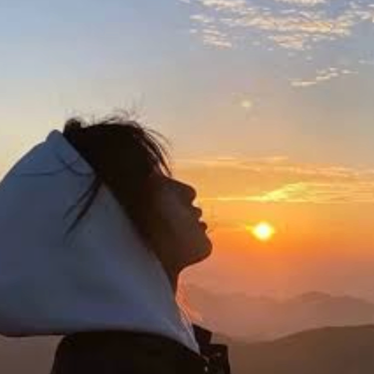 wxcvbgh (vssss.lens) Lens social identity (.lens handle) PFP