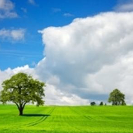 RainbowChaser (shdteyudo.lens) Lens social identity (.lens handle) PFP