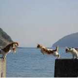 sudugan (hjhcgh65.lens) Lens social identity (.lens handle) PFP