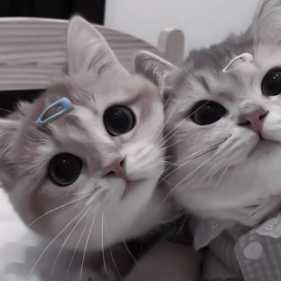 HachmiaT (hachmiatin50872.lens) Lens social identity (.lens handle) PFP