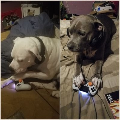 edsgar (55313.lens) Lens social identity (.lens handle) PFP