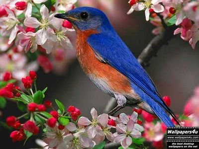 RsWFTaBH2Rk4q9b (76562.lens) Lens social identity (.lens handle) PFP