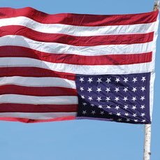 betti_lynn (bettilynn.lens) Lens social identity (.lens handle) PFP