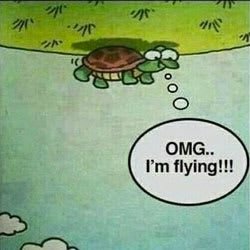 picturealotword (picturealotword.lens) Lens social identity (.lens handle) PFP