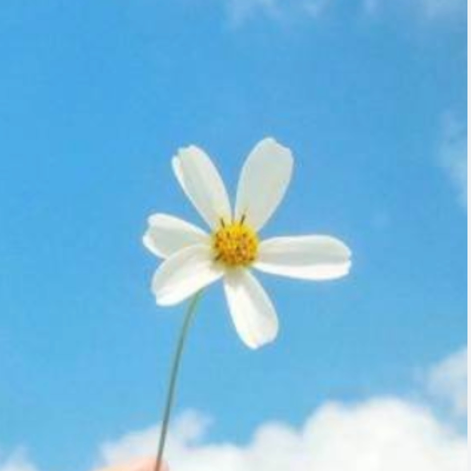 sdasdsads (gwwwww.lens) Lens social identity (.lens handle) PFP