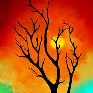 wdssss (kknnnn.lens) Lens social identity (.lens handle) PFP