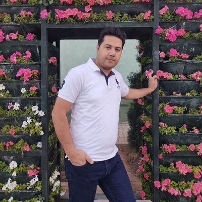 pitouzan (pitouzan.lens) Lens social identity (.lens handle) PFP