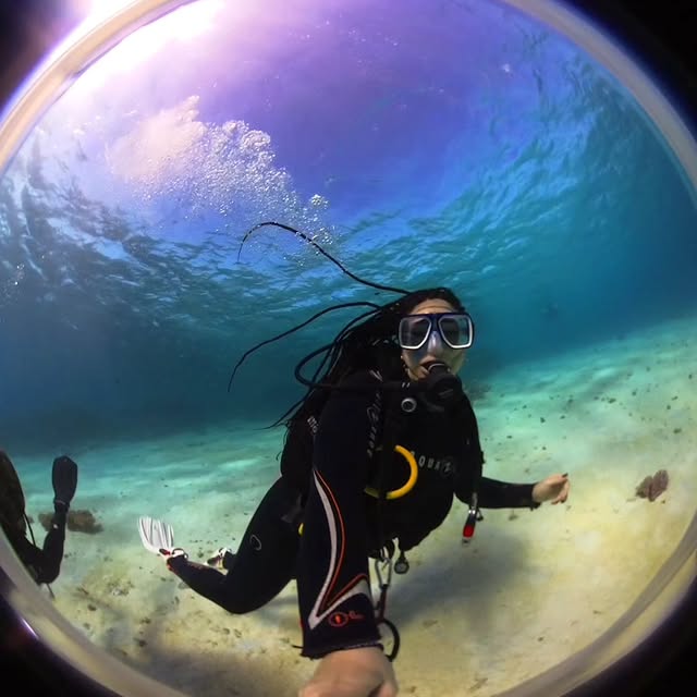 Flora Fauna (jscache.lens) Lens social identity (.lens handle) PFP