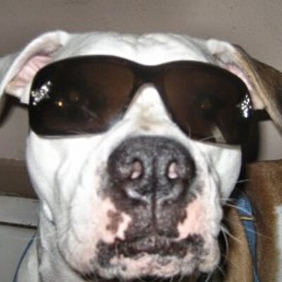 ONowland (onowland.lens) Lens social identity (.lens handle) PFP