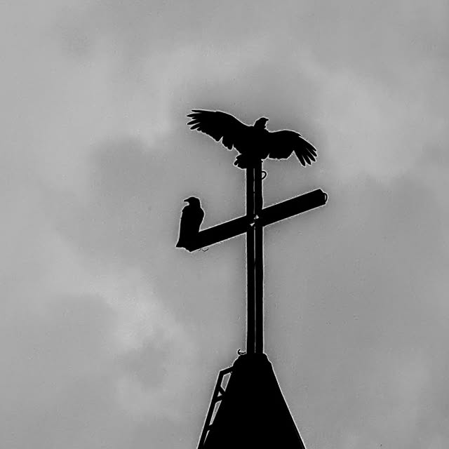 Nova Meditech (fitbit.lens) Lens social identity (.lens handle) PFP