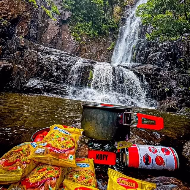 Valence Nexus (updaterex.lens) Lens social identity (.lens handle) PFP