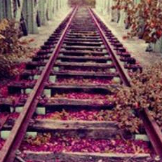 Louise Wheatley (txggg.lens) Lens social identity (.lens handle) PFP