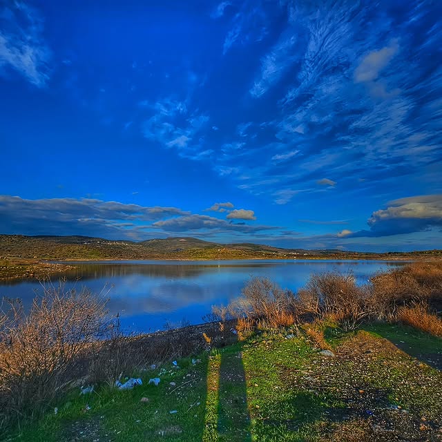 Jared Kensington (clamav.lens) Lens social identity (.lens handle) PFP