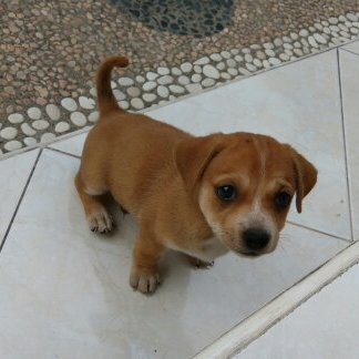 Airdropjepeh69 (airdropjepeh69.lens) Lens social identity (.lens handle) PFP