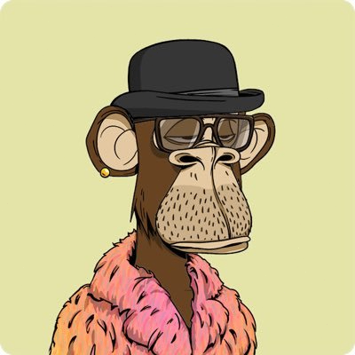 jimnyon (12asdxzcjh.lens) Lens social identity (.lens handle) PFP