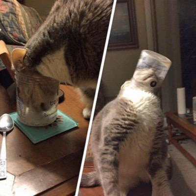 GoldenComet (goldencomet.lens) Lens social identity (.lens handle) PFP