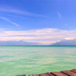 tgwmll3717 (tgwmll3717.lens) Lens social identity (.lens handle) PFP