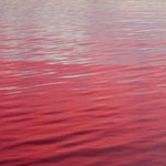 juanm (grejrtcvx.lens) Lens social identity (.lens handle) PFP