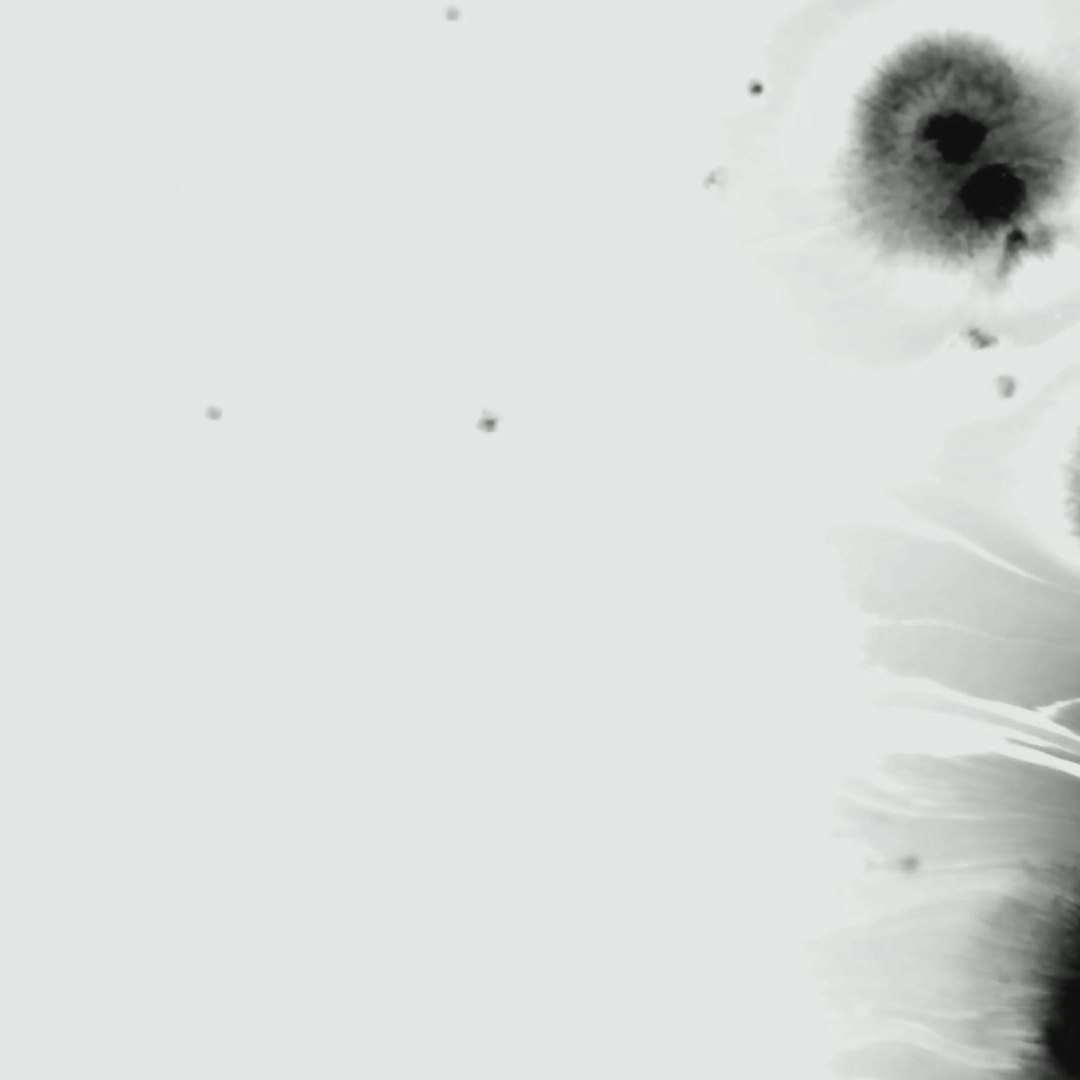 gf (zetix.lens) Lens social identity (.lens handle) PFP