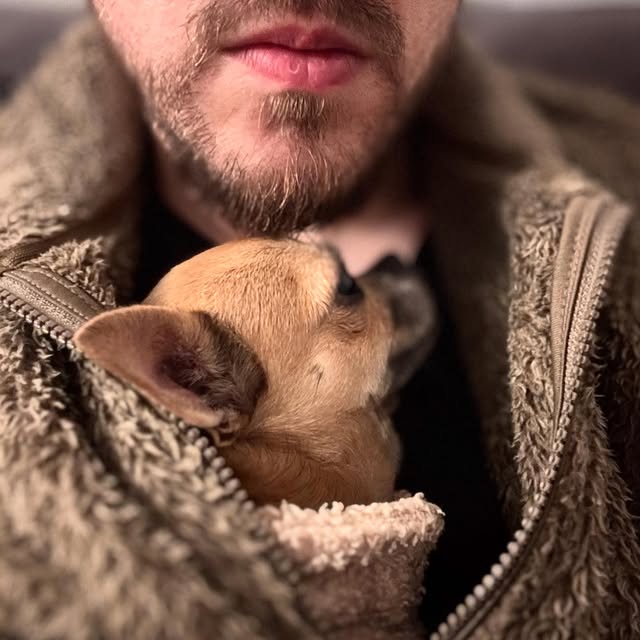 Prosperity Maven (jstor.lens) Lens social identity (.lens handle) PFP