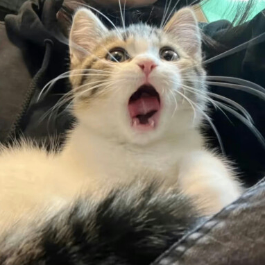 internetm (internetm.lens) Lens social identity (.lens handle) PFP