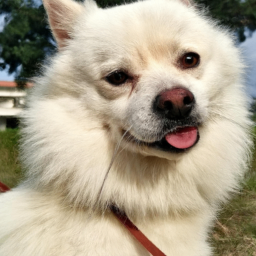 aspiradora fuerte (hoover.lens) Lens social identity (.lens handle) PFP