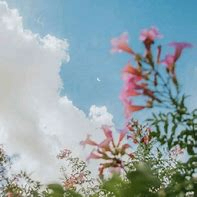 rockya (rockya.lens) Lens social identity (.lens handle) PFP