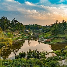 hienmiae (hienmiae.lens) Lens social identity (.lens handle) PFP