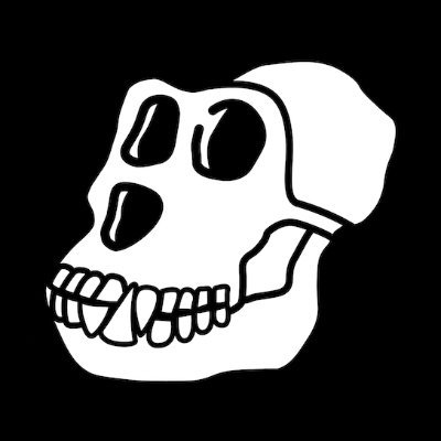 0xbro (0xbro.lens) Lens social identity (.lens handle) PFP