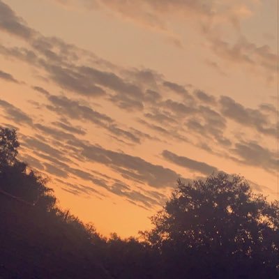 Fake_Faker1395 (75544.lens) Lens social identity (.lens handle) PFP