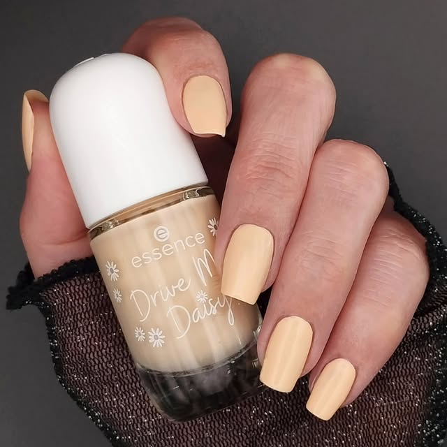 CityScape Analyst (xrosview.lens) Lens social identity (.lens handle) PFP