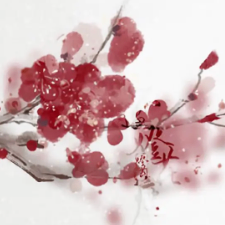 nihu88888 (kkooiii9.lens) Lens social identity (.lens handle) PFP