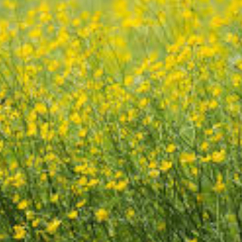 erttdfggf (0u967.lens) Lens social identity (.lens handle) PFP