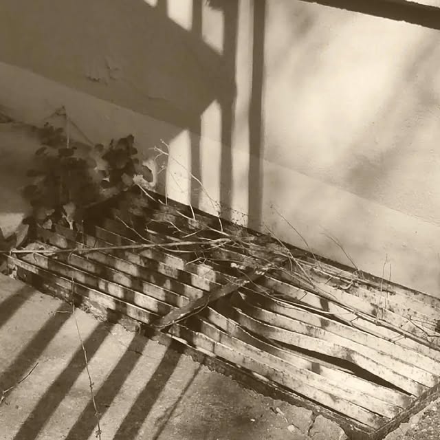 Inventor's Haven (planet49.lens) Lens social identity (.lens handle) PFP