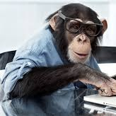 name? (myhandlee.lens) Lens social identity (.lens handle) PFP