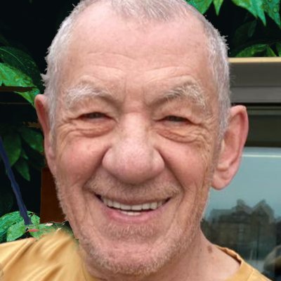 IanMcKellen (82961.lens) Lens social identity (.lens handle) PFP