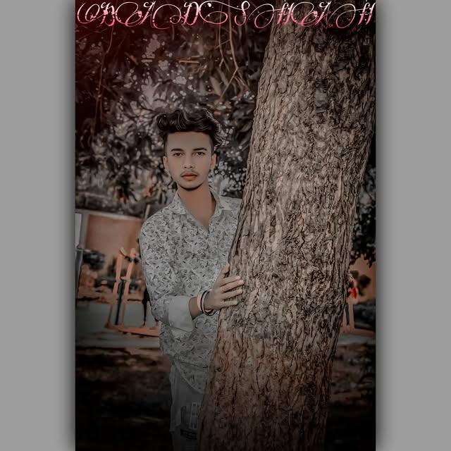 Verdant Voices 🌿 (townhall.lens) Lens social identity (.lens handle) PFP