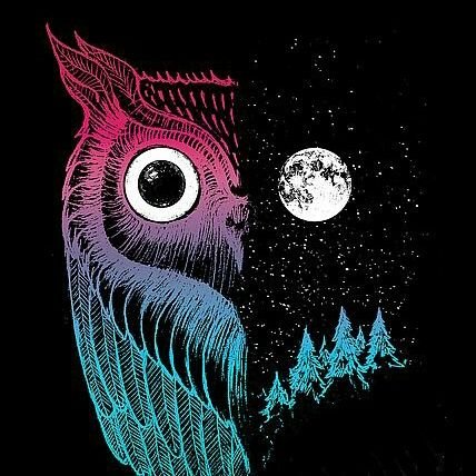 NightOwl919 (60687.lens) Lens social identity (.lens handle) PFP