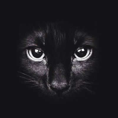 mustafaak (mustafaak.lens) Lens social identity (.lens handle) PFP