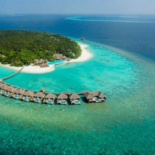 Aqua Advocate (vmware.lens) Lens social identity (.lens handle) PFP