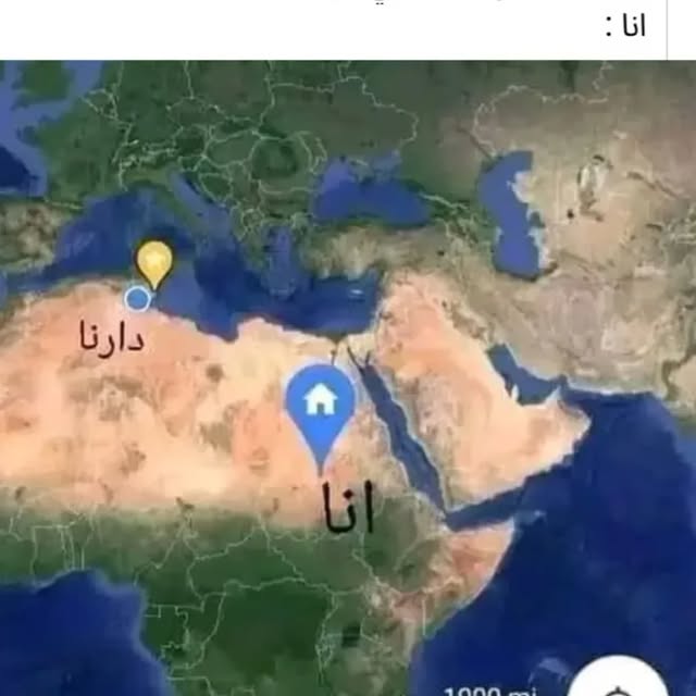 Cognitive Haven (relestar.lens) Lens social identity (.lens handle) PFP