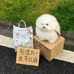 Back 💯rich (rich2024.lens) Lens social identity (.lens handle) PFP